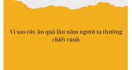Vì sao cây ăn quả lâu năm người ta thường chiết cành