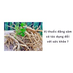Vị thuốc đẳng sâm có tác dụng đối với sức khỏe ?