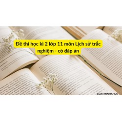 Đề thi học kì 2 lớp 11 môn Lịch sử trắc nghiệm - Có đáp án