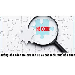 Hướng dẫn cách tra cứu mã HS và các biểu thuế liên quan