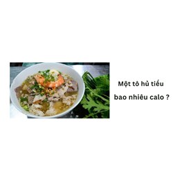 Một tô hủ tiếu bao nhiêu calo ?