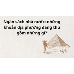 Các khoản ngân sách nhà nước địa phương đang thu gồm những gì?