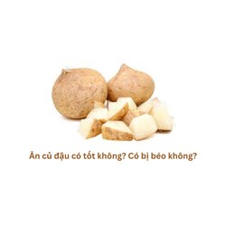 Ăn củ đậu có tốt không? Có bị béo không?