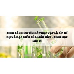 Sinh sản hữu tính ở thực vật là gì? Ví dụ và đặc điểm của loài này - Sinh học lớp 11