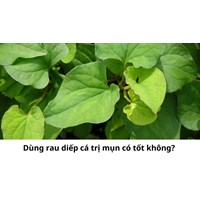 Dùng rau diếp cá trị mụn có tốt không?