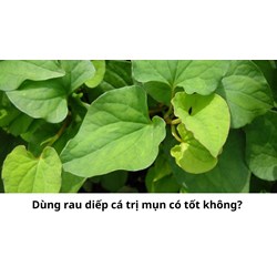 Dùng rau diếp cá trị mụn có tốt không?
