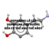 Dopamine là gì? Dopamine ảnh hưởng đến cơ thể như thế nào?