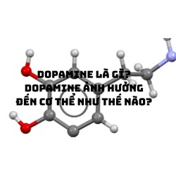 Dopamine là gì? Dopamine ảnh hưởng đến cơ thể như thế nào?