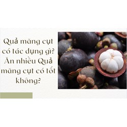 Quả măng cụt có tác dụng gì? Ăn nhiều Quả măng cụt có tốt không?