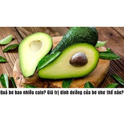 Quả bơ bao nhiêu calo? Giá trị dinh dưỡng của bơ như thế nào?