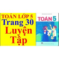 Toán lớp 5 trang 30 Luyện tập có đáp án chi tiết nhất