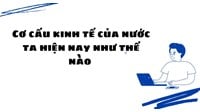 Cơ cấu kinh tế của nước ta hiện nay như thế nào
