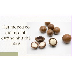 Hạt macca có giá trị dinh dưỡng như thế nào?