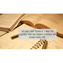 Kha tử là gì? Cây, quả kha tử có tác dụng gì?