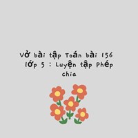 Vở bài tập Toán bài 156 lớp 5 : Luyện tập Phép chia