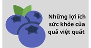 Những lợi ích sức khỏe của quả việt quất không phải ai cũng biết