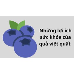 Những lợi ích sức khỏe của quả việt quất không phải ai cũng biết