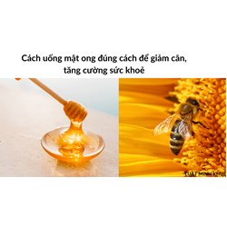 Cách uống mật ong để giảm cân, tăng cường sức khoẻ đúng cách