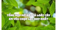 Tổng hợp mở bài Tả loài cây em yêu chọn lọc hay nhất