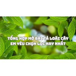 Tổng hợp mở bài Tả loài cây em yêu chọn lọc hay nhất