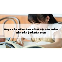 Đoạn văn tiếng Anh về đồ vật yêu thích kèm dàn ý và bản dịch