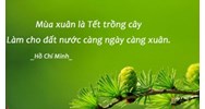 Mùa xuân là Tết trồng cây, làm cho đất nước càng ngày càng xuân
