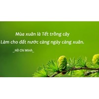 Mùa xuân là Tết trồng cây, làm cho đất nước càng ngày càng xuân