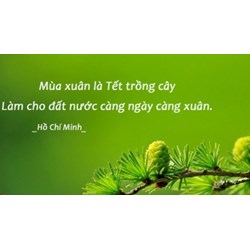 Mùa xuân là Tết trồng cây, làm cho đất nước càng ngày càng xuân