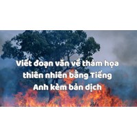 Viết đoạn văn về thảm họa thiên nhiên bằng Tiếng Anh kèm bản dịch