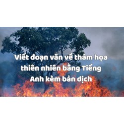 Viết đoạn văn về thảm họa thiên nhiên bằng Tiếng Anh kèm bản dịch