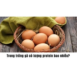 Trong trứng gà có lượng protein bao nhiêu?