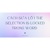 Cách sửa lỗi the selection is locked trong Word
