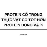 Protein có trong thực vật có tốt hơn protein động vật?