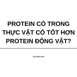 Protein có trong thực vật có tốt hơn protein động vật?