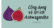 Công dụng và lợi ích Ashwagandha