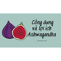 Công dụng và lợi ích Ashwagandha