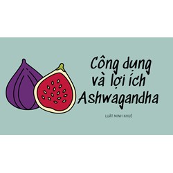 Công dụng và lợi ích Ashwagandha