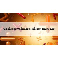 Vở bài tập Toán lớp 5 - bài 157: Luyện tập