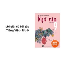 Lời giải 60 bài tập Tiếng Việt lớp 9 chi tiết nhất