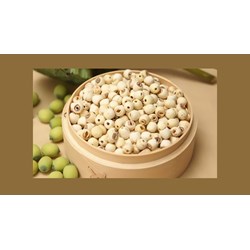 Ăn hạt sen có tác dụng gì? Tác dụng của hạt sen đối với sức khỏe