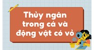 Thủy ngân trong cá và động vật có vỏ