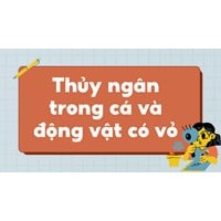 Thủy ngân trong cá và động vật có vỏ