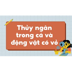 Thủy ngân trong cá và động vật có vỏ