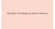 Tìm hiểu về nguồn và cơ cấu lao động của nước ta hiện nay