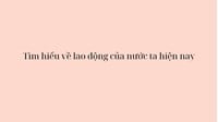 Tìm hiểu về nguồn và cơ cấu lao động của nước ta hiện nay