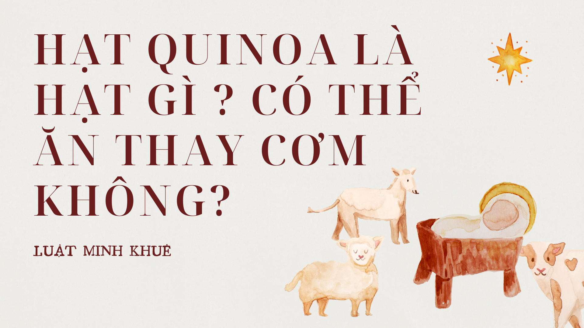 Hạt quinoa là hạt gì ? Có thể ăn thay cơm không?