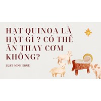Hạt quinoa là hạt gì ? Có thể ăn thay cơm không?