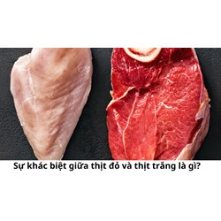 Sự khác biệt giữa thịt đỏ và thịt trắng là gì?