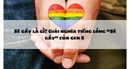 Sẽ gầy là gì? Giải nghĩa, nguồn gốc, ứng dụng & góc nhìn pháp luật