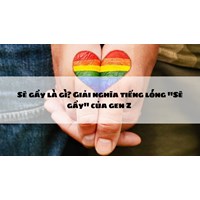 Sẽ gầy là gì? Giải nghĩa, nguồn gốc, ứng dụng & góc nhìn pháp luật